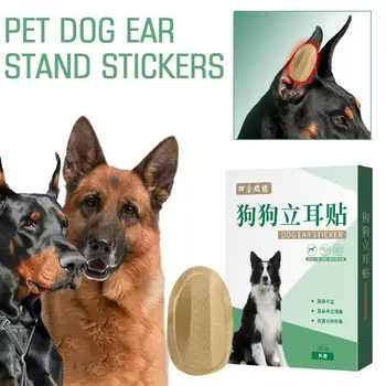 2 шт. /компл. Наклейки для ушей домашних собак, принадлежности для коррекции ушей, Инструменты для ухода за ушами, Удобные Эффективные