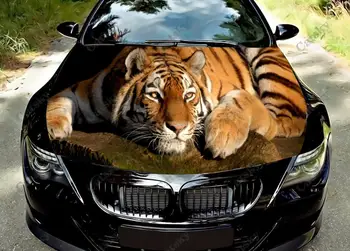 обертывание капота автомобиля с изображением животного тигра, цветная виниловая наклейка, наклейка с изображением грузовика, капот, наклейки для украшения автомобиля на заказ